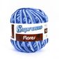 Barbante-Supremo-Flores-226m-Croche