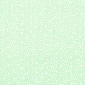 Tecido-Tricoline-Estrela-Branca-Fundo-Verde-Claro-Della-Aviamentos-9391 Tecido-Tricoline-Estrela-Branca-Fundo-Verde-Claro-Della-Aviamentos-9391