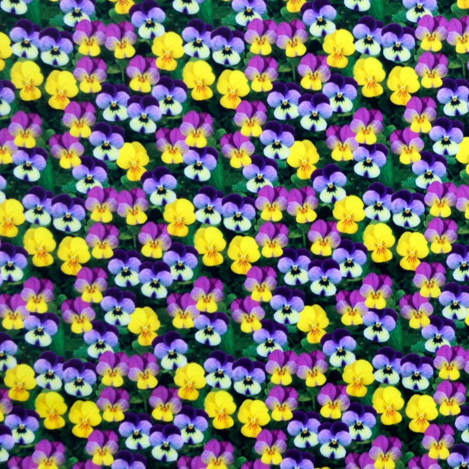 tecido-tricoline-estampado-digital-3d-floral-amor-perfeito-della-aviamentos-tecidos-caldeira-capa-11