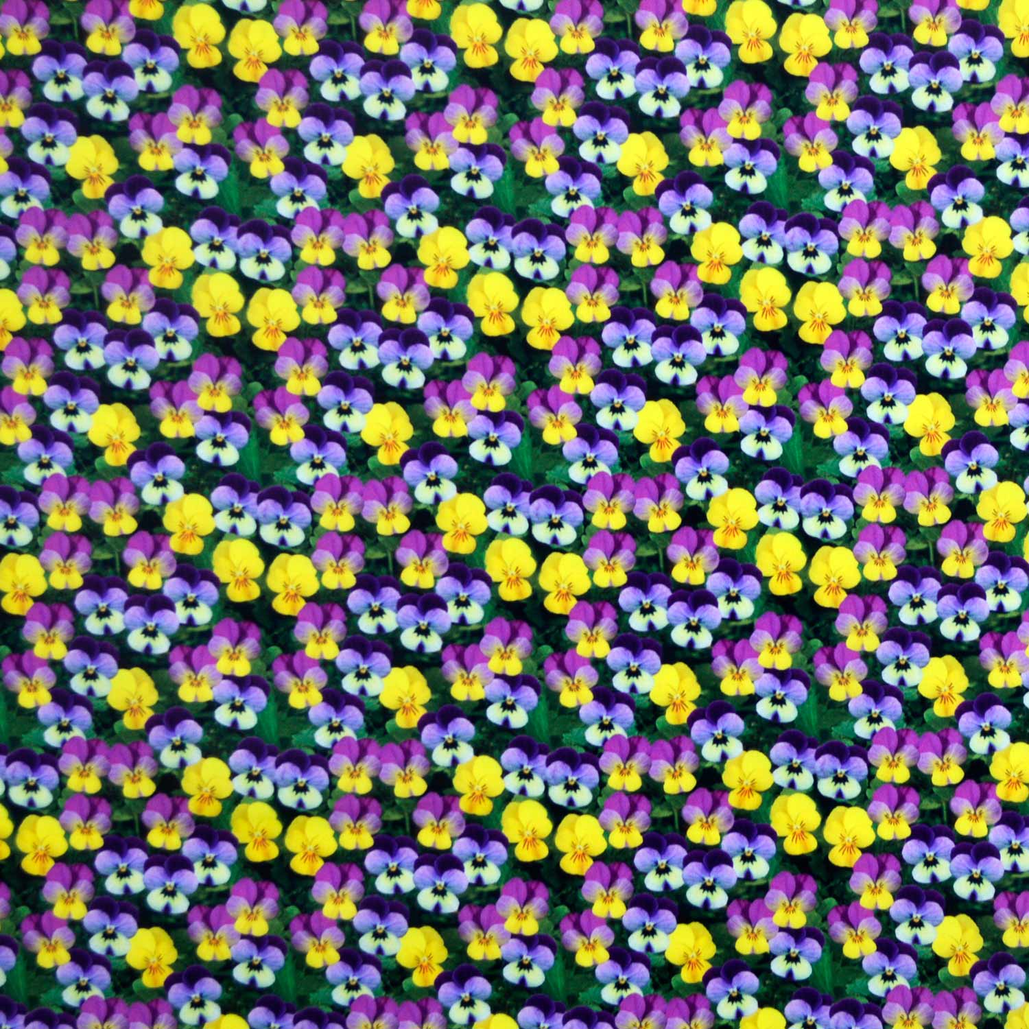 tecido-tricoline-estampado-digital-3d-floral-amor-perfeito-della-aviamentos-tecidos-caldeira-11056