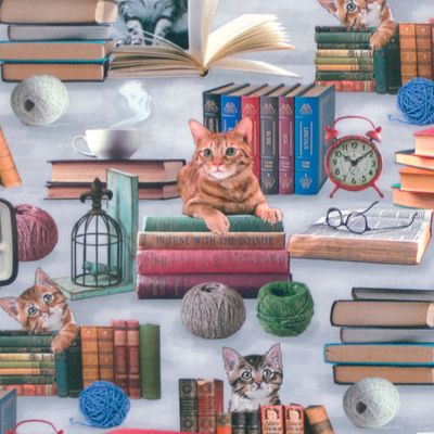 tecido-tricoline-gatos-na-biblioteca-20-cm-11160