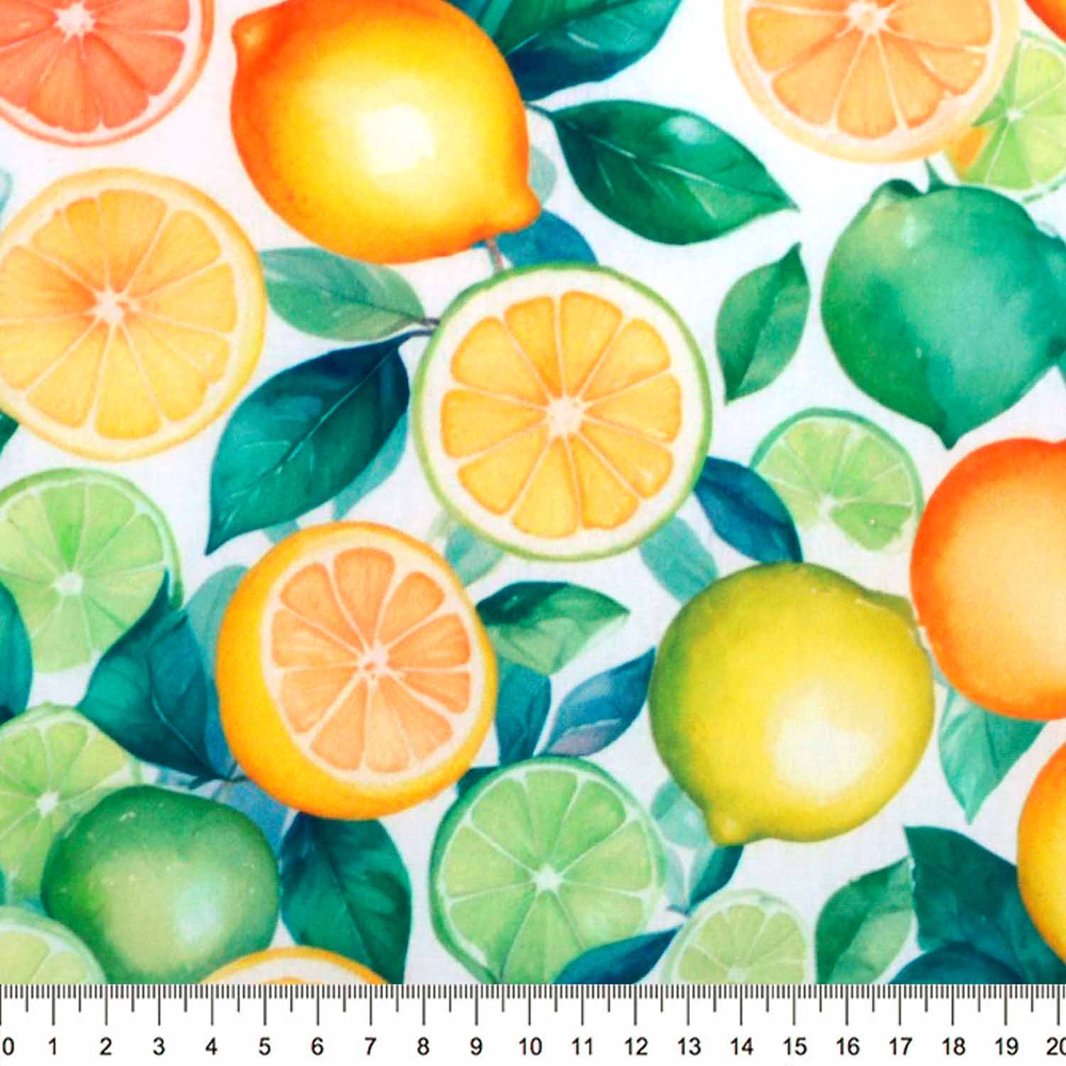 tricoline-frutas-citricas-fundo-branco-20-della-aviamentos