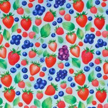 tricoline-frutas-blueberry-fundo-azul-della-aviamentos