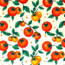 tricoline-tomates-fundo-creme-della-aviamentos