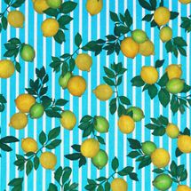 tricoline-limao-fundo-listrado-della-aviamentos
