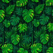 tricoline-digital-costela-de-adao-e-bambo-della-aviamentos-11798