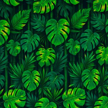 tricoline-digital-costela-de-adao-e-bambo-della-aviamentos-11798 tricoline-digital-costela-de-adao-e-bambo-della-aviamentos-11798