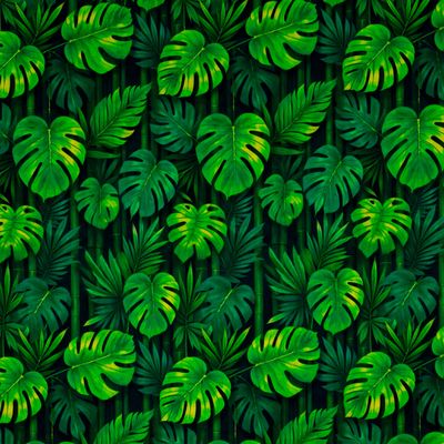 tricoline-digital-costela-de-adao-e-bambo-della-aviamentos-40-11798